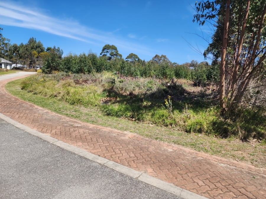Commercial Property for Sale in Wedgewood Golf Estate Eastern Cape